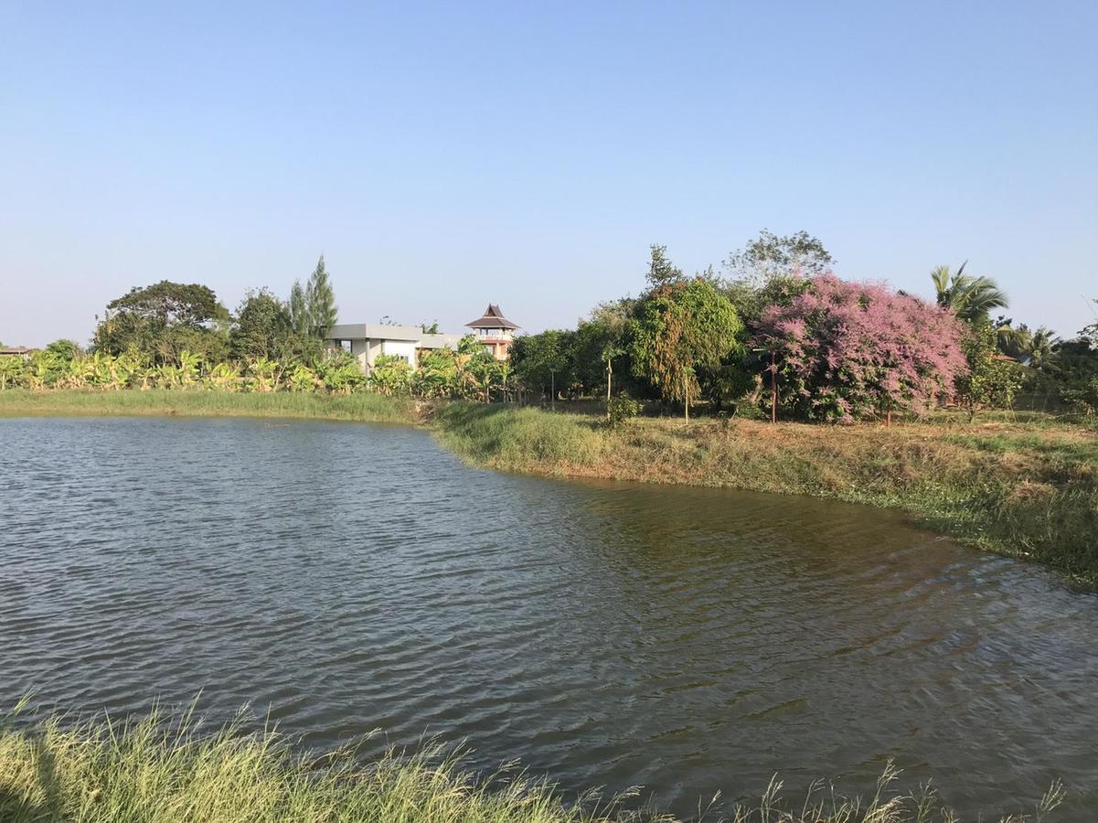 Ok Farm Resort Det Udom Εξωτερικό φωτογραφία